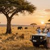 Best Tour Company in Kenya