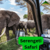 Discover the Best Time to Go on a Serengeti Safari