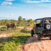 How to Experience the Magic of a Kenya Safari in February