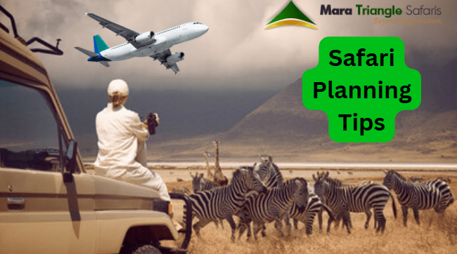 How to Plan a Mara Migration Trip