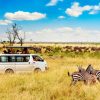 Kenya’s Best Time to Visit in 2026: Mara Triangle Safaris Month-by-Month Breakdown