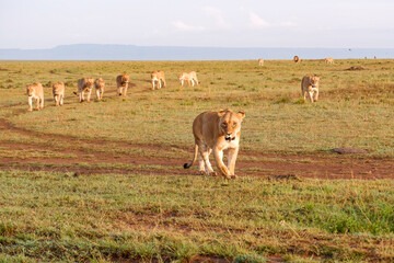 Mara Triangle Safety