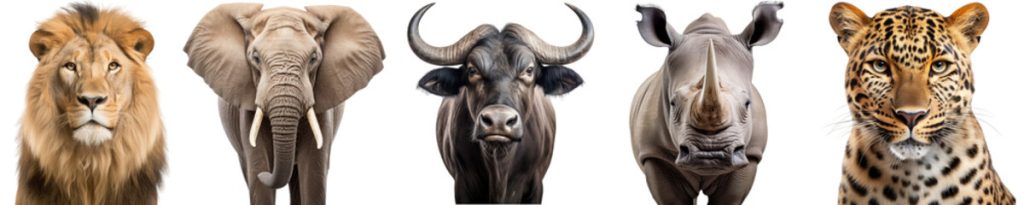 Plan Your 2026 Big Five Safari in Kenya with Mara Triangle Safaris