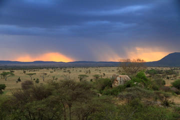 Kenya Safari in the Rainy Season