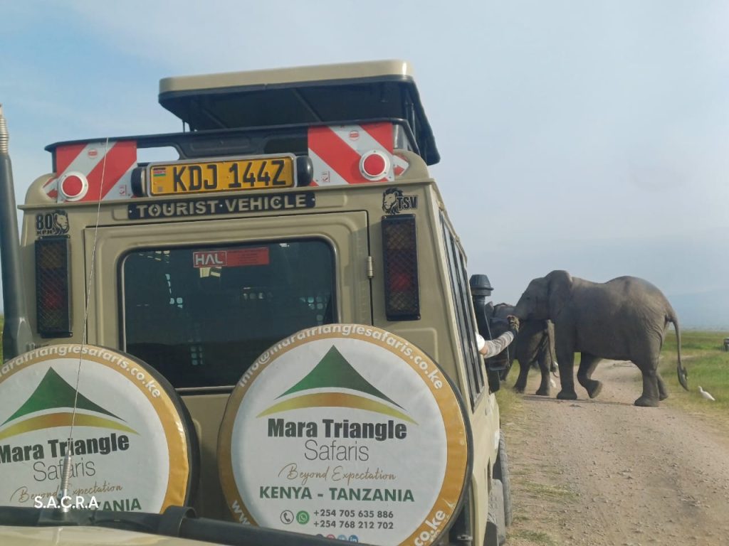 Romantic Safari Destinations in Kenya Mara Triangle