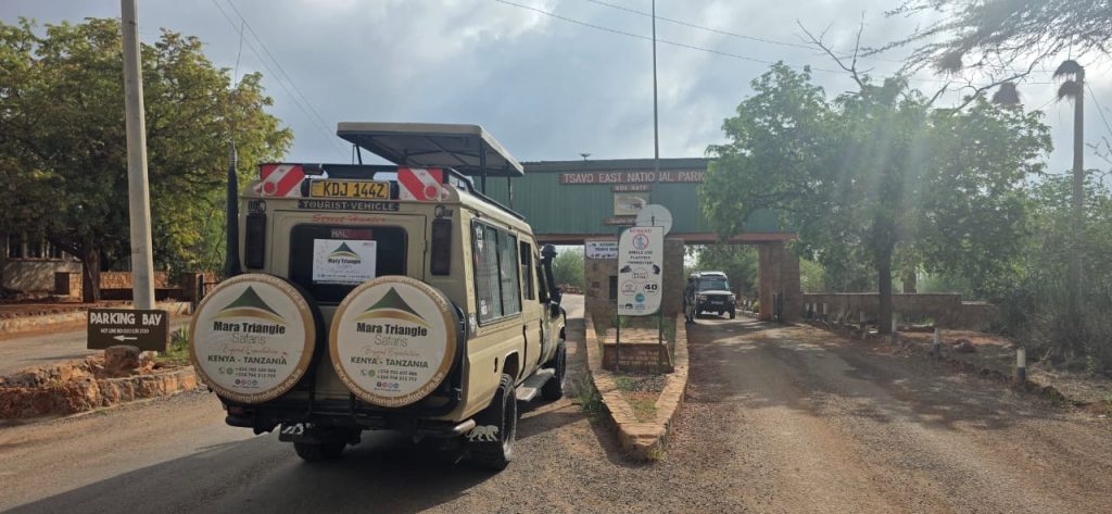 Kenya Safari in 2026