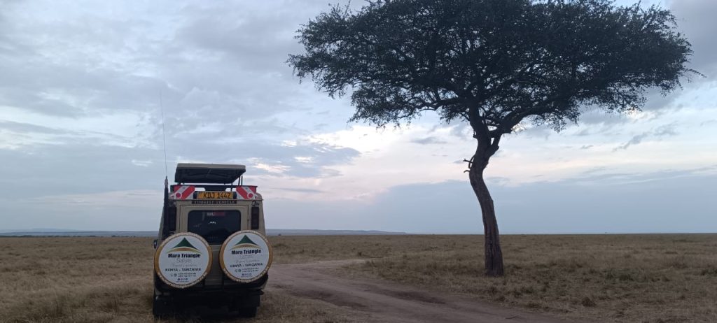 Kenya Safari in 2026