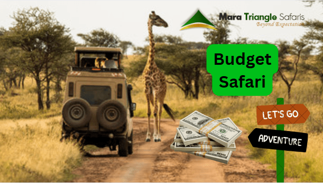 affordable masai mara migration packages