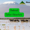 Amboseli Safari Adventure