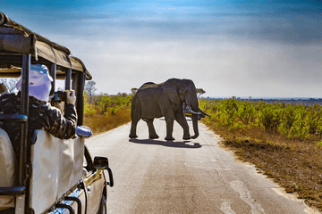 African Safari Cost Per Person