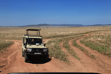 Kenya Safari in January