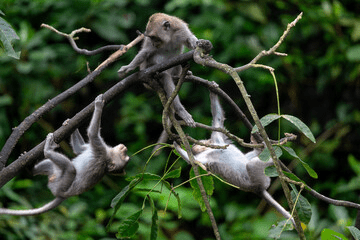 Best Kenya Horseback Safari