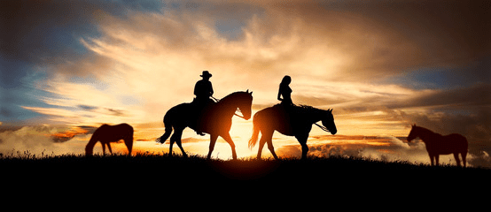 Sanctuary Horseback Safaris