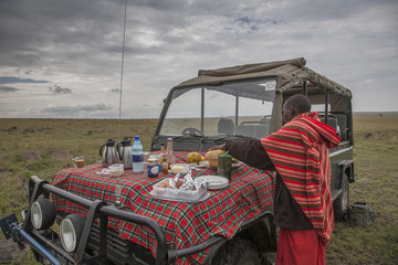 50 Questions About Kenya Safari in 2026 Answered