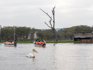Boat Safaris in Kenya